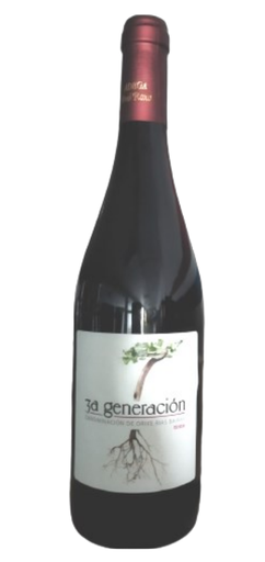 MENCÍA AVÓ ROXO D.O. RÍAS BAIXAS Botella 3/4. Caja 12 uds
